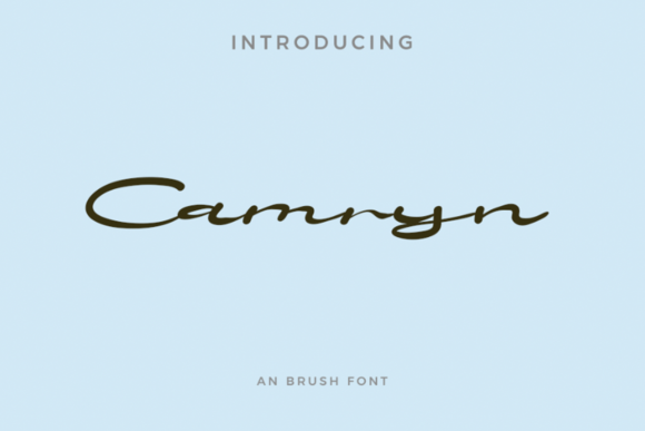 Camryn: A Script Font for Business Elegance
