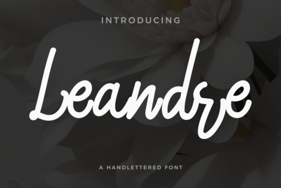 Leandre: A Script Font That Elevates Editorial Design