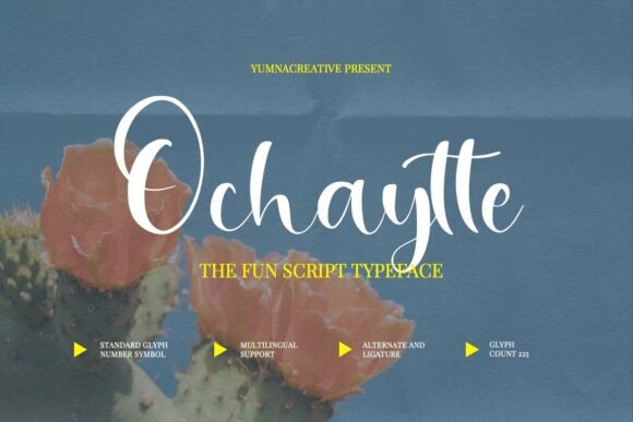 Ochaytte: A Fun Script Font