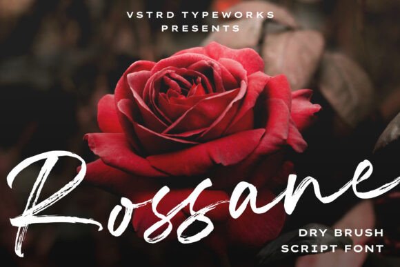 Rossane: A Script Font for Creative Branding