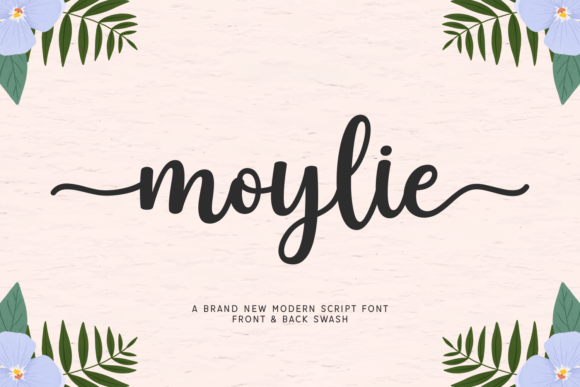 Test Driving Moylie: A Script Font for Web Design